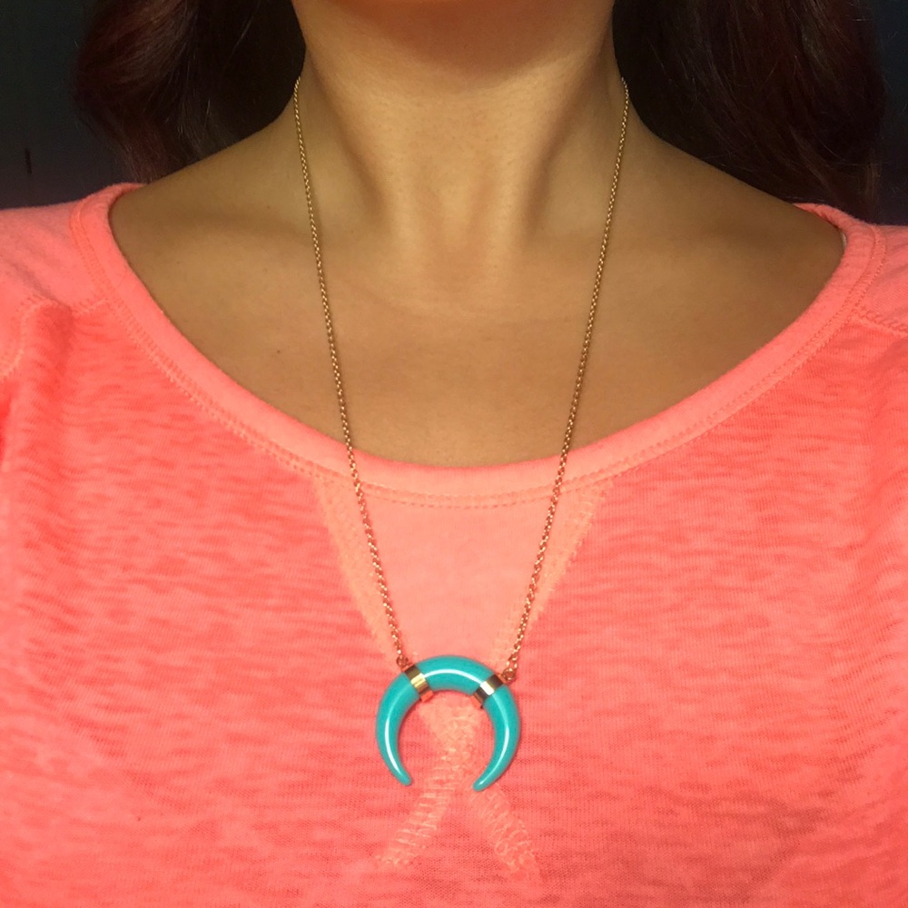 Crescent Horn Necklace